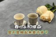 春白茶与绿茶：四点区别一览，让你轻松识别