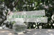 玻璃壶泡白茶：利弊探讨，喝茶更明智