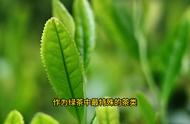 六安瓜片：绿茶中的健康佳品