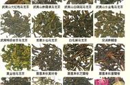 中国名茶制作宝典：自学成为茶道行家