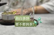 白茶饼冲泡探讨：头道茶前润茶的必要性与实践