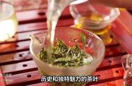 铁观音茶：全面解析茶叶文化