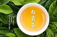 老话说“要喝茶，秋白露”：白露茶的健康益处与喝法