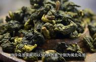 乌龙茶探索：大红袍是否属于青茶类别？