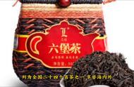 梧州绿宝茶：六堡茶，黑茶的传世之作