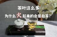 白茶的崛起之路：揭秘它如何成为茶界的明星？