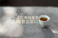 初尝大红袍，花果香还可以，但口感稍显涩涩的，这是正常的现象吗？