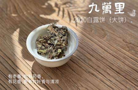 打造优质白茶收藏：三大关键步骤助你成功