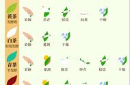 茶叶新手的福音：最靠谱的入门知识指南（干货！强烈推荐）