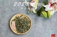 茶桌上的六种茶具，你真的掌握正确的使用技巧吗？