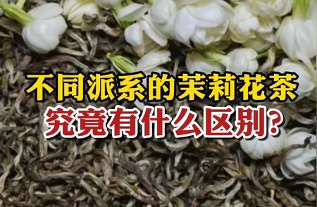 茉莉花茶大解密：从视频测评看各派系之美