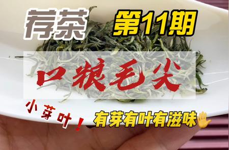 一文解读：信阳毛尖口粮茶的故事与品质