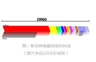 防疫无忧：确定境外输入病例及核酸检测结果查询详解！