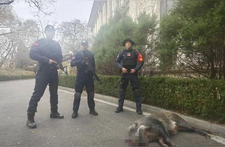 动物威胁逼近！学习正确逃生方法，“S”形路线是首选！