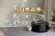 秋季煮茶实用指南：哪些茶叶适合煮？如何确保煮茶的高效性？