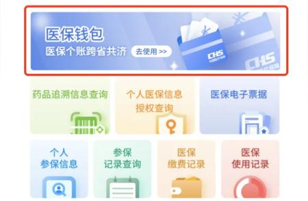 个人医疗保障新篇章：九省份开启“医保钱包”，开启透明化管理！