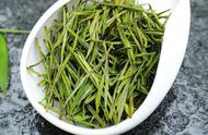 绿茶新手必看：春茶、夏茶、新茶和陈茶的鉴别技巧大揭秘