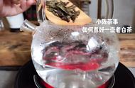 煮茶达人教你：黑茶、老白茶、普洱茶、红茶的煮法与技巧！