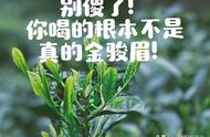 茶叶爱好者注意：市场上的金骏眉绝大多数是仿冒品？