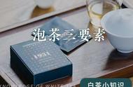 泡茶三要素大揭秘：茶艺初学者必备指南