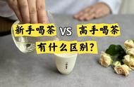 走进茶的世界：新手与高手的喝茶视角