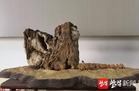 南京莫愁湖景区举办奇石讲座，探索大自然的奥秘