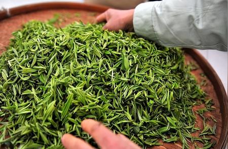 中国四大黄茶品鉴：哪款口味最受欢迎？
