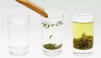 绿茶百科，都匀毛尖的泡茶方法