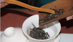 绿茶百科，都匀毛尖的泡茶方法